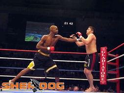 格斗比赛视频,格斗比赛精彩片段回顾