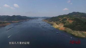 筏钓教学视频高清,掌握技巧，尽享垂钓乐趣