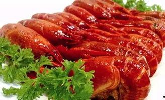 活虾 虫子 视频,探寻海洋生物的生存智慧