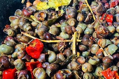 烤田螺视频,家常美味，轻松上手的烹饪教程