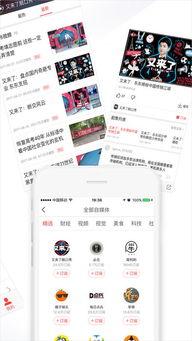 风皇视频下载,轻松获取海量视频资源攻略