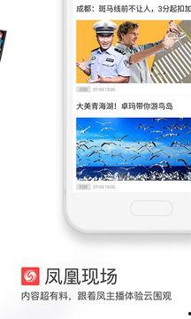 风皇视频下载,轻松获取海量视频资源攻略