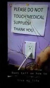 舔舐视频,宠物舔舐的治愈力量