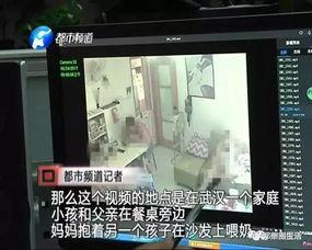 入侵家庭摄像头视频,家庭摄像头视频揭示的惊人真相